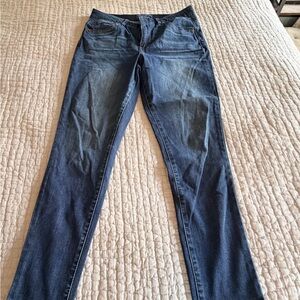 Democracy Ab Solution Ankle Blue Denim Jeans- 12